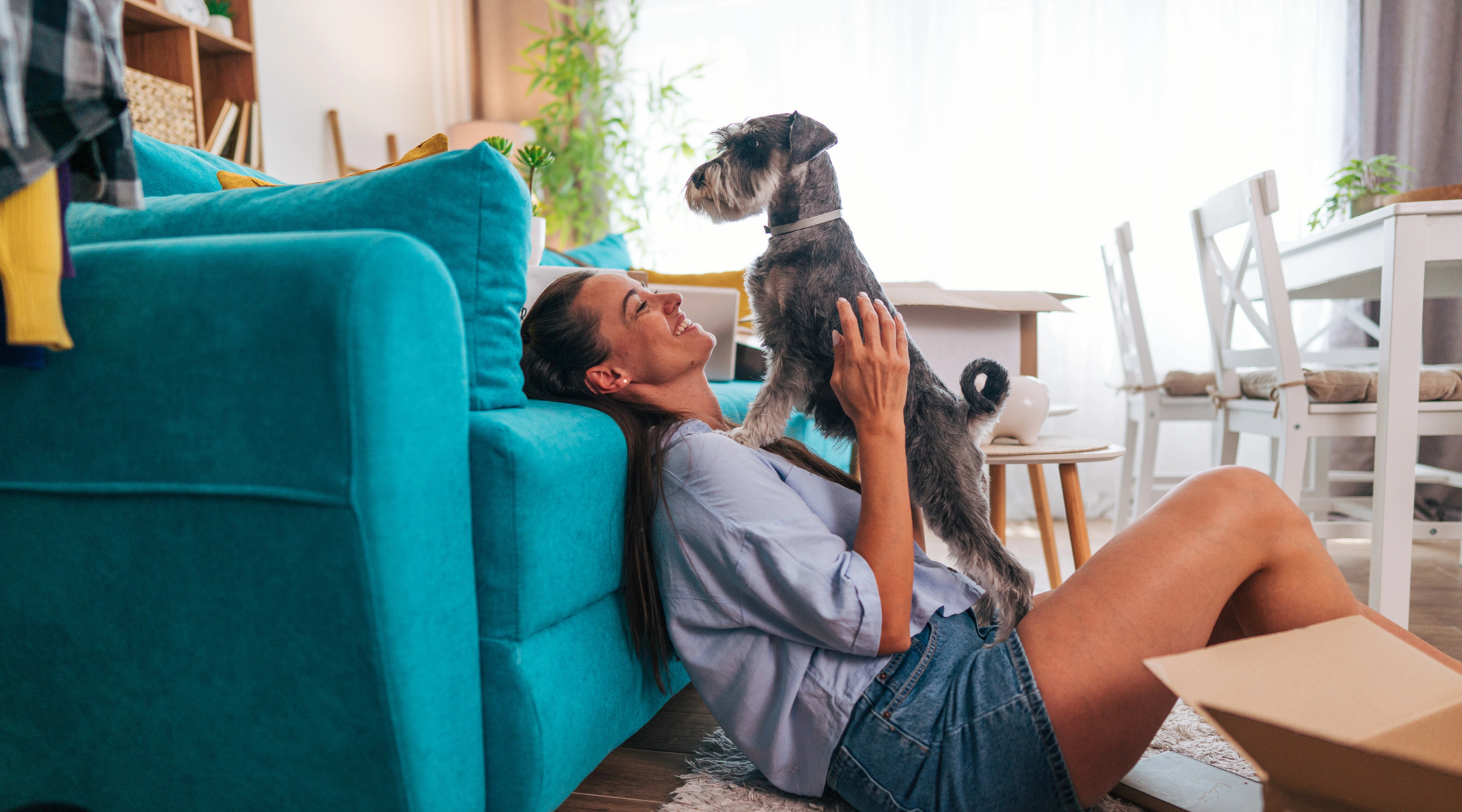 The right to request pets under the Renters’ Rights Act  - Miles & Barr