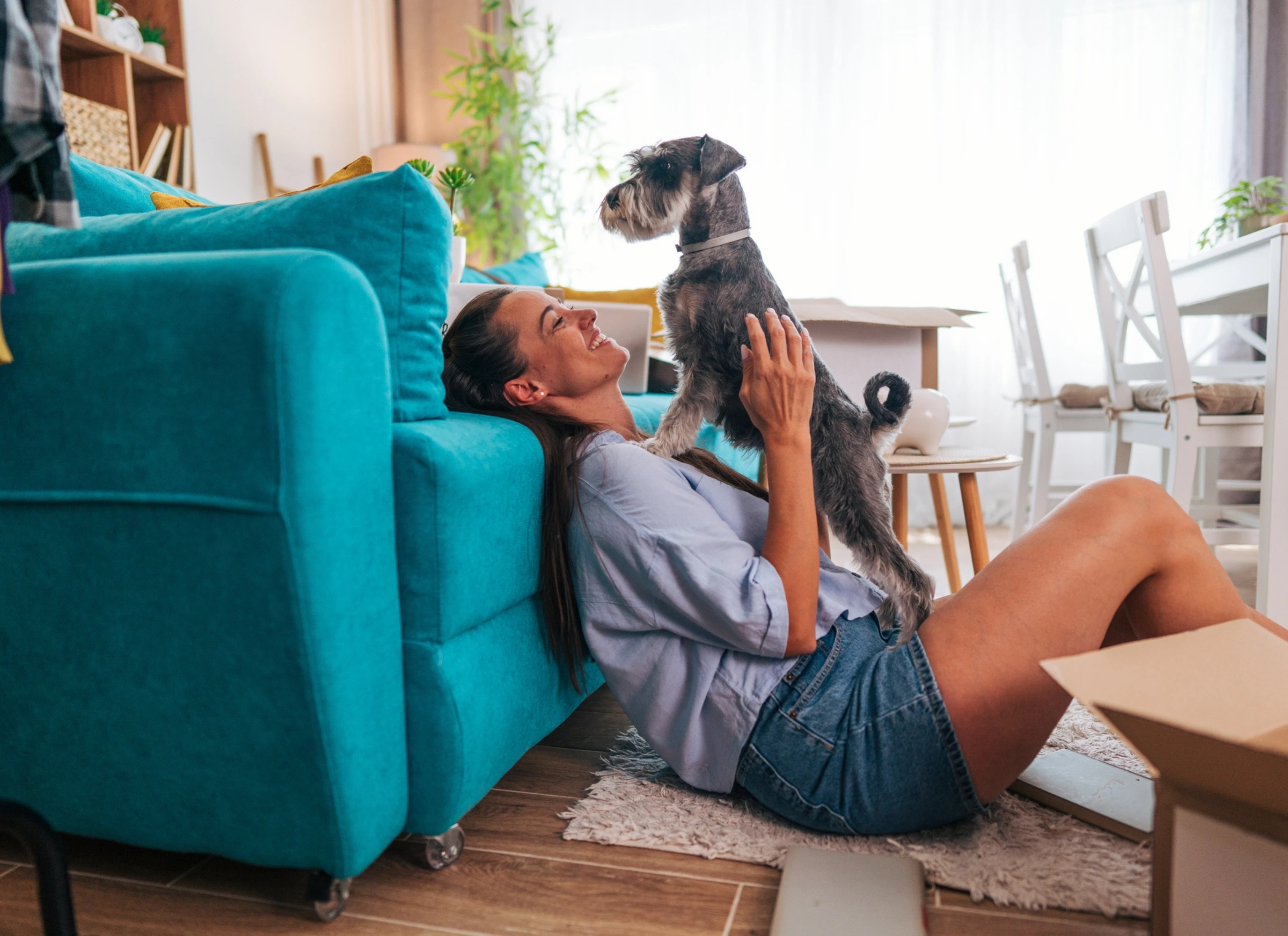 The right to request pets under the Renters’ Rights Act  - Miles & Barr