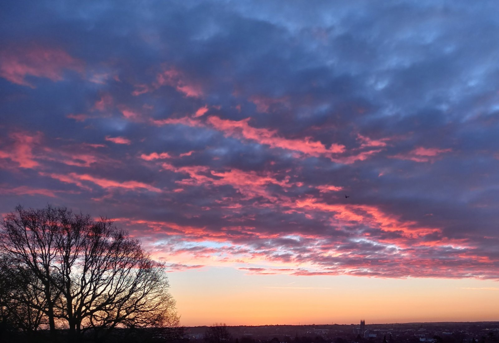 Glen Iris Close, Canterbury, Kent, CT2