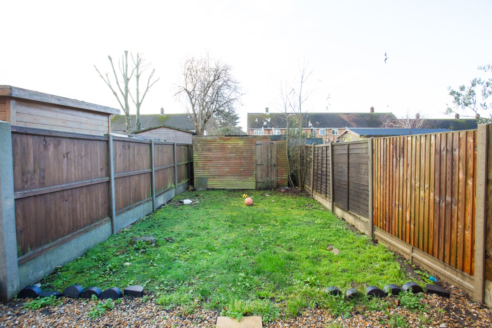 Kite Farm, Whitstable, Kent, CT5